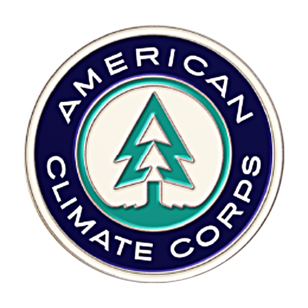 ACC LAPEL PIN